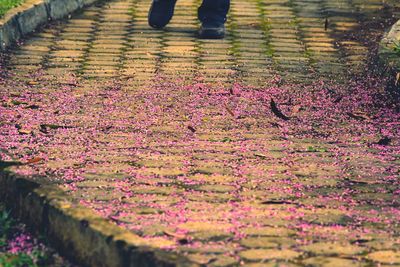 Low section of person on flowers