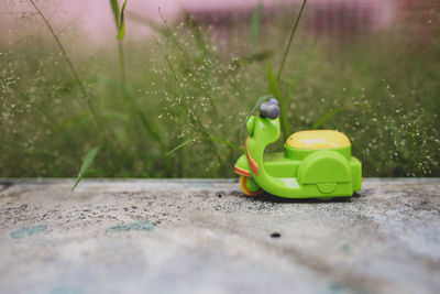 Close-up of stuffed toy on field