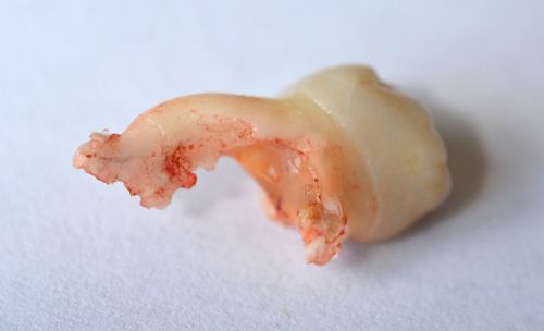 Close-up of food over white background