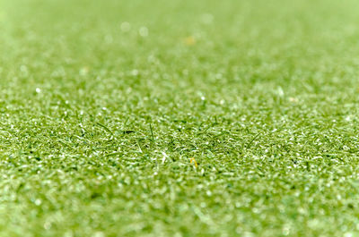 Full frame shot of green grass