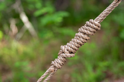 Basic knot tying survival skills