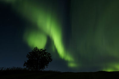 Low angle view of aurora borealis against sky at night