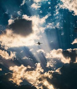 Low angle view of airplane flying in sky