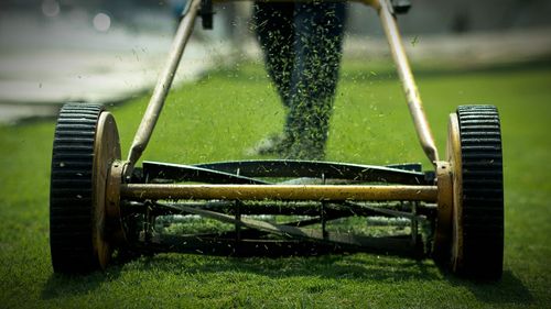 Low section view of person using lawn mower