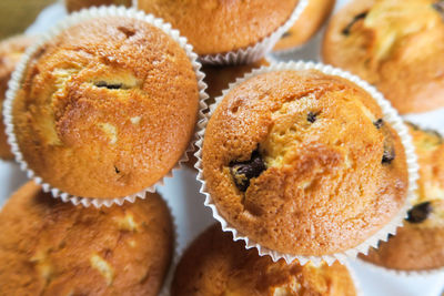 Close-up of cupcakes on table