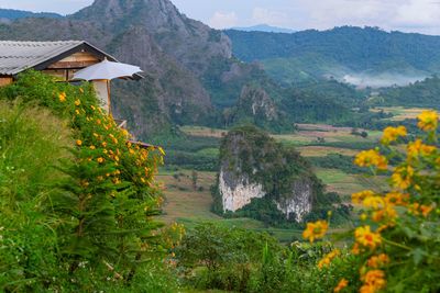 Scenic view of landscape and buildings against mountain