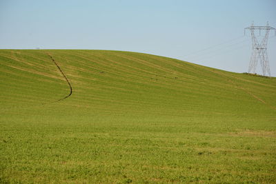 View of fields against clear sky