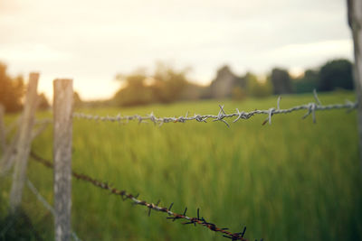Close-up of barbed wire against field during sunset