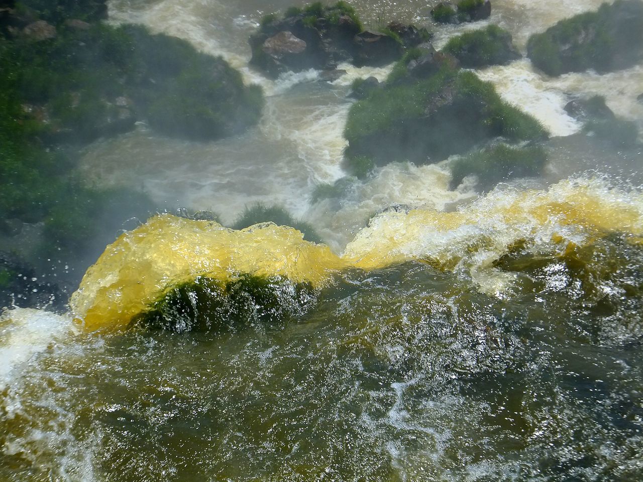 water, waterfront, nature, high angle view, rippled, sea, beauty in nature, motion, day, outdoors, splashing, no people, wet, close-up, sunlight, tranquility, reflection, swimming, lake, floating on water