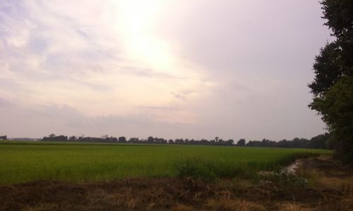 Scenic view of grassy field against cloudy sky