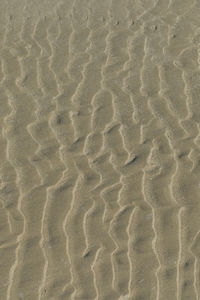 High angle view of footprints on sand at beach