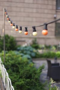 String light hanging over plants