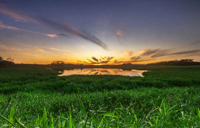 Scenic view of field against sky during sunset