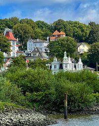 Plants and trees and buildings against sky