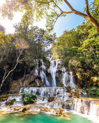 Scenic view of waterfall in forest