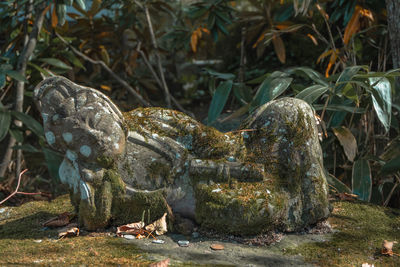 Close-up of animal sculpture on field