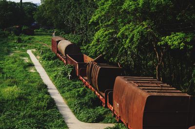 Old train in jungle