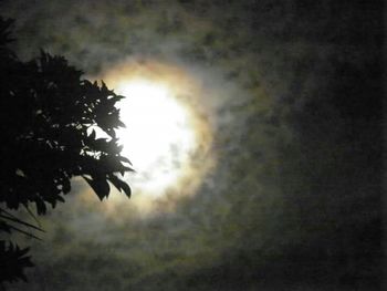 Low angle view of trees against cloudy sky