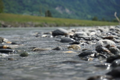 Surface level of pebble beach