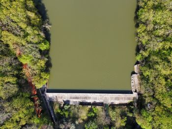 High angle view of trees by building