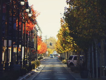 Road amidst autumn trees and street lights