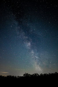Low angle view of silhouette trees against star field at night