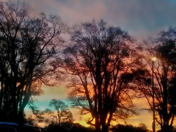 Silhouette trees against sky during sunset