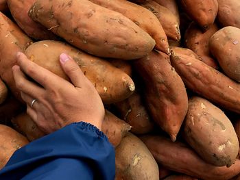Close-up of hand touching sweet potatoes