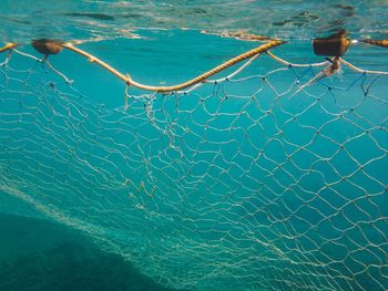 Underwater view of a fishing net