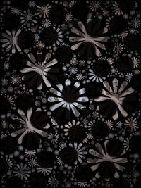 Full frame shot of black-eyed plant