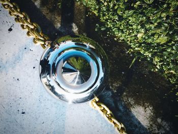 High angle view of water wheel on tree