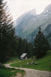 Scenic view of trees and mountains against sky