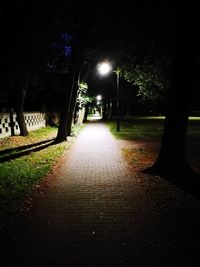 Illuminated street amidst trees at night