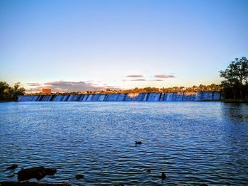 View of birds swimming in lake