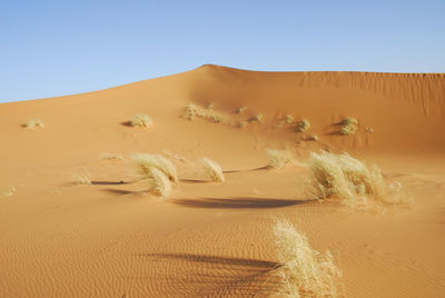 Sand dunes in desert against clear sky