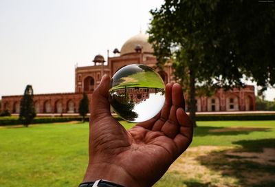Cropped image of person holding plant against building