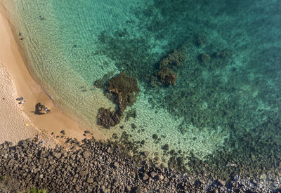 Close-up of crab on beach