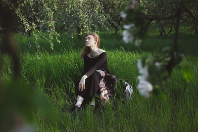 Enjoying springtime in apple garden scenic photography