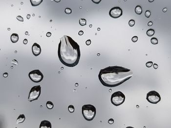 Full frame shot of water drops on glass window