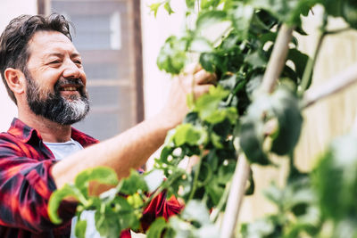 Mature man looking at plant while standing against wall