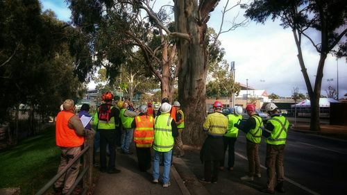 Man standing in park