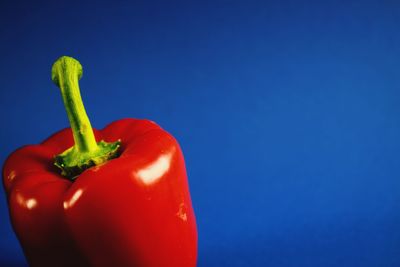 Close-up of red bell peppers against blue sky