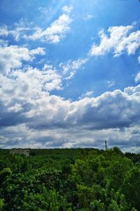 Low angle view of trees against sky