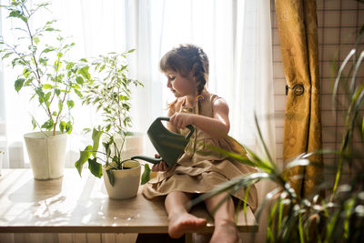 Midsection of woman holding potted plant at home
