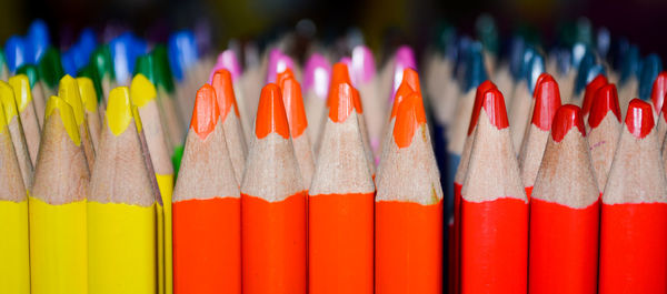 Close-up of multi colored pencils