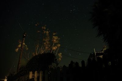 Low angle view of silhouette trees against sky at night