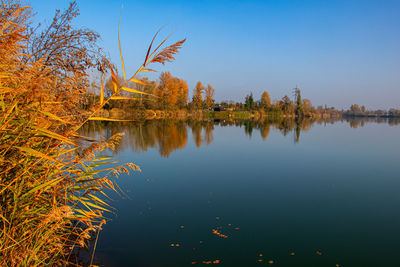 Scenic view of lake against clear blue sky