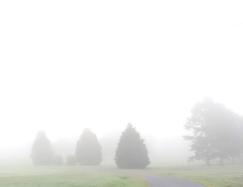Trees on field against clear sky during winter