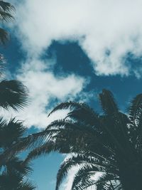 Low angle view of palm trees against sky