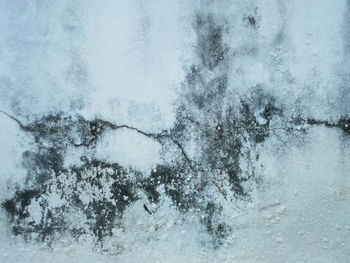 Close-up of snow on window